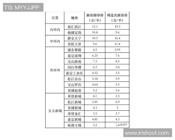 上海羽毛球队的转型之路与未来发展展望分析 上海羽毛球队的转型之路与未来发展展望分析