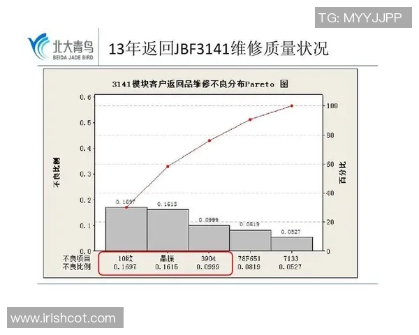 武汉羽毛球队战术表现深度解析与数据分析探讨
