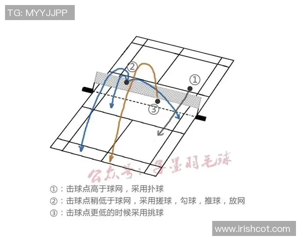 深圳羽毛球队引领最新羽毛球技术TOP10榜单解析与发展趋势探讨