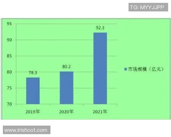 西安羽毛球队状态分析与发展前景探讨