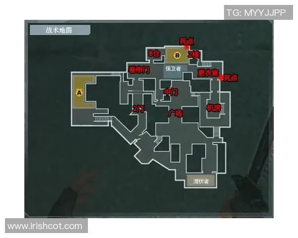 乒乓球战术：广州乒乓球队的区域防守体系