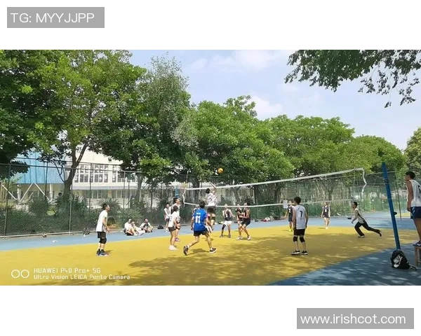 独家分析：成都排球队的比赛经验对比