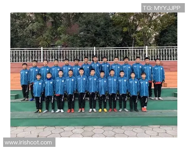 足球纪实：记录南京足球队的奋斗经历