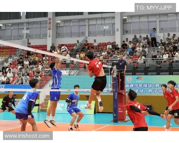 聚焦排球：武汉排球队的力量话题