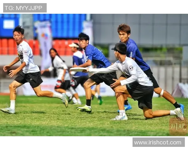 飞盘战术：南京飞盘队的中路突破体系