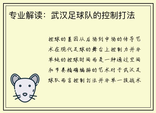 专业解读：武汉足球队的控制打法